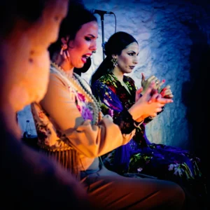 [237] El cante es la madre del flamenco Emilio Bonilla Cárdenas