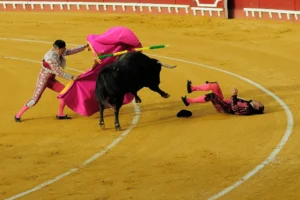 [244] Untitled Jose Luis Rivera Feria