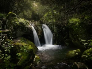 [245] Luvia de luz Francisco Pérez González