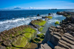 [255] Traquilidad Francisco José Guerrero Dávila