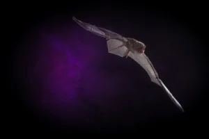 [259] Space Bat Antonio Ignacio Miranda Fernández