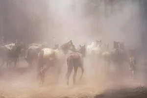 [262] De vuelta María del Mar Ortega Jiménez
