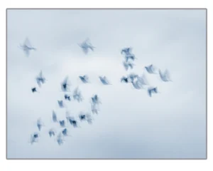 [289] VUELOS JOSE LOPEZ AROZARENA