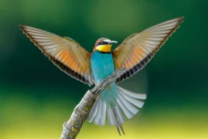 [291] Colors Andrés Miguel Domínguez Romero