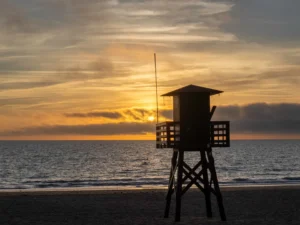 [309] Vigilando el atardecer José Jiménez Romero
