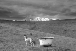 [311] El guardián del agua Pedro Pablo Gómez Gómez