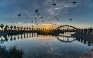 [313] Amanecer Joaquin Garcia Lopez