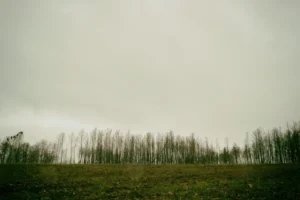 [321] El bosque muerto Carlos Jorge Ruiz Espinosa