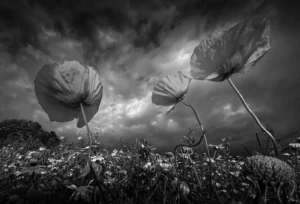 [322] Mirando al cielo oscuro Francisco javier Jiménez Garrido