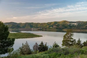 [324] Donde el silencio habita miguel angel romero santiago