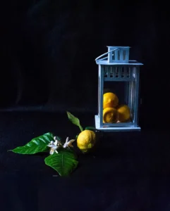 [331] OLOR A PRIMAVERA joaquin carlos barroso cerrato