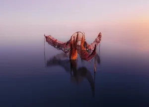 [333] Cangrejeras en Deltebre Francisco Bernal Garrido