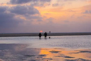 [353] Atardecer MARIA CARMEN ALDEGUER ROGET