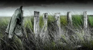 [363] Marisma Manuel Ruiz Herrera