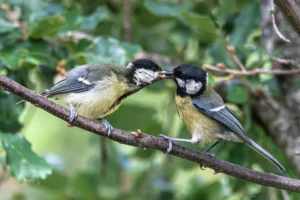 [385] LA VIDA SIGUE JOSE LUIS ROJAS ALCONCHEL