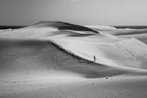 [394] Perdido Agustín Rodríguez Carmona