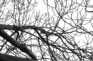 [404] Esperando Rafael Enrique Vilas García