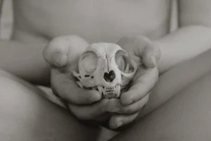 [422] La Calavera de Gato Anne Laure Kesteman