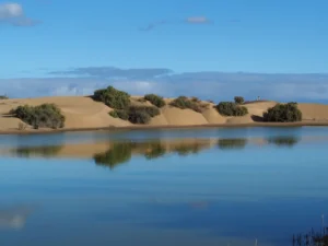 [424] REFLEJO DUNAR Lola Dominguez Navarro