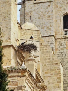 [428] Tierra de campos, cigüeñas y piedras María del Mar Izquierdo García