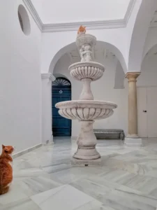 [443] Mirada a la cima María Eugenia Cortes Ramdegger