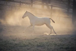 [453] Ejercicio al atardecer Adrián Rodríguez Blanco