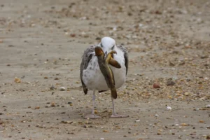 [470] Error de Cálculo Miguel Angel Rodriguez Utrera