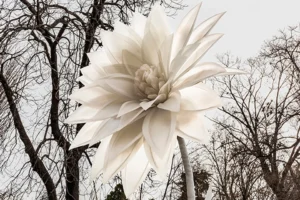 [472] Somos jardín Nuria Murillo Lara