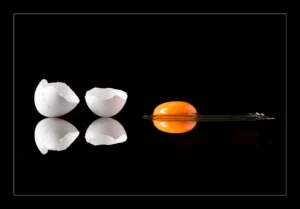 [475] huevo María del Mar Blanco Quero