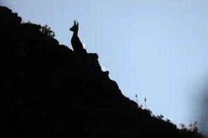 [480] Esfinge Mercedes Cuesta Mateo