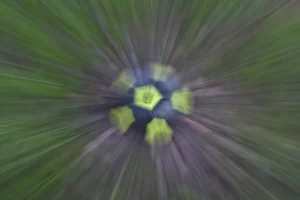 [483] Zoom Alicia Sánchez Jones