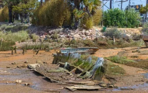 [] Haldon Garcia, Antonio Puerto de Palos de la Frontera La Ravida (Huelva) Cuadernas