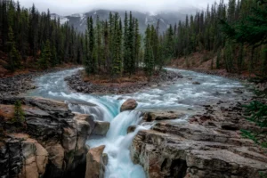 [] Quero Zumaquero, Jose Alberta VI