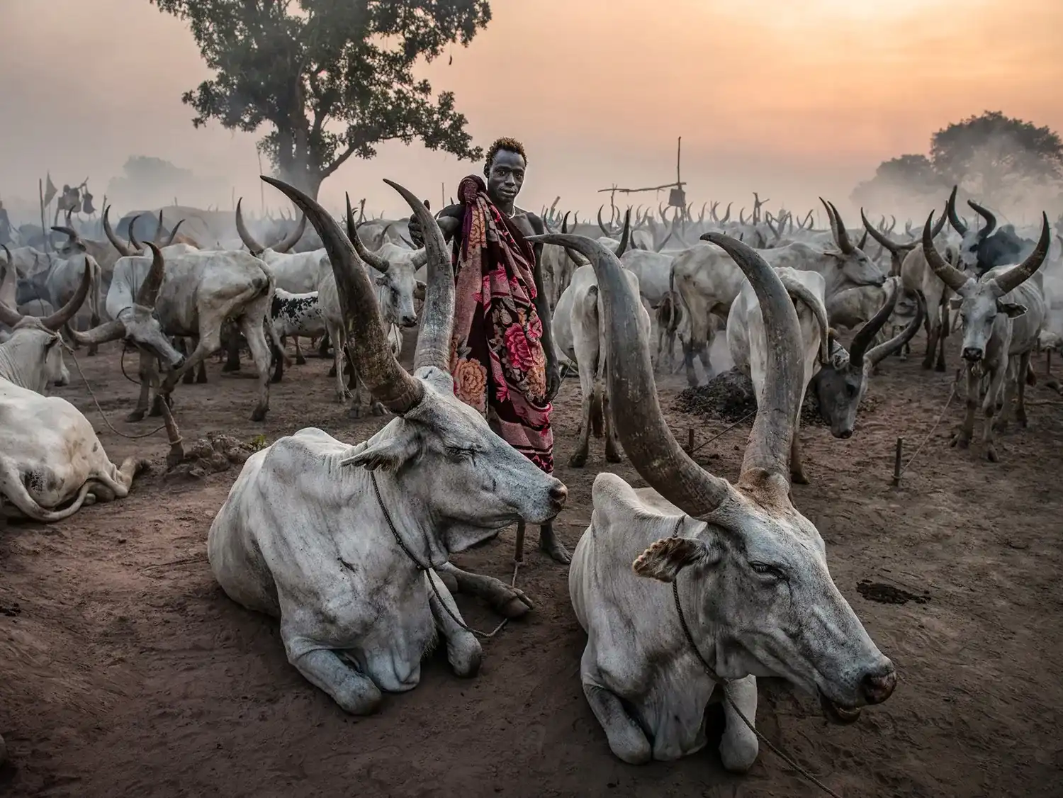 [001] Mundari 5 Fernando Morales Clavijo