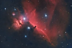 [010] Caballo y llama Juan Fernando Artillo Benitez compressed