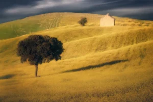 [013] Se avecina tormenta LUCIA GAMEZ CAÑAS
