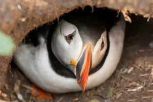 [018] Sin muchas ganas de salir MARIA ELENA MARTIN GARCÍA TREVIJANO