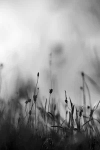 [022] Naturaleza Antonio José Muro Sánchez