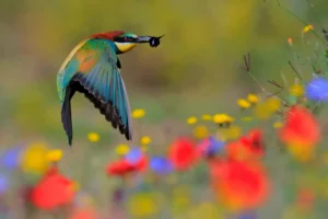 [024] Días de junio Andrés Miguel Domínguez Romero