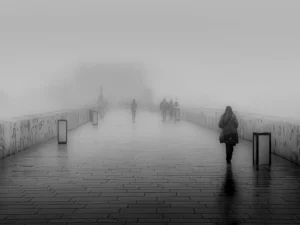 [025] Dias de niebla Francisco Javier Carmona Jurado