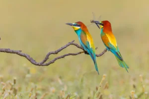 [027] Rechazo Manuel García Garcia compressed