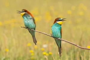 [028] Canto a la vida MARIA DOLORES GONZALEZ DELGADO compressed