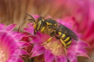 [029] Colores primaverales Paqui Hermosilla compressed