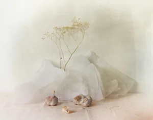 [037] bodegón clave alta MJosé Cantero Angulo compressed