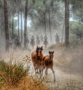 [055] Bonanza Juan Carlos Segura Novoa
