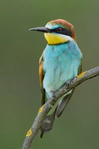[060] Arcoiris Gonzalo Astete Martín