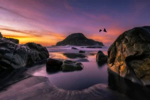 [069] Dos cuervos iban hacia el oeste Rodrigo Núñez Buj compressed