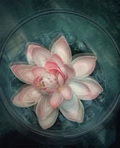 [075] Loto 1 Charo Lozano del Real compressed