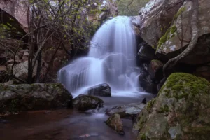 [090] Rebosante de vida Isabel Rondón Caballero