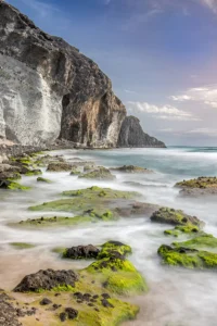 [101] Cabo de Gata Salvador Rivas Gálvez compressed